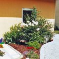 Ambiente am Haus zw.Terrasse & Hof