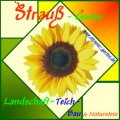A.A_Strauss-Garten