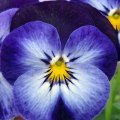 Farbenfreundschaft_IMG_0708_2