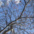 IMG_0503