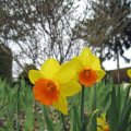 IMG_0779_2