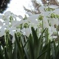 Perspektive Ansichten_IMG_0395