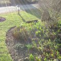 Rasen & Beetkanten_IMG_0488