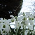 Schau ins Land_IMG_0394