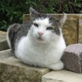 Hallo Ich heiße "FRED"kommst Du mit durch den Garten?