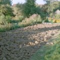 Vegetation-Bodenbearbeitung von Hand_1
