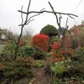 Der Rhododendrongarten im Herbst