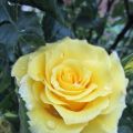 Formvollendet_IMG_1620
