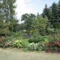1AAktuell_16-09-11_Rosenbeet 2.BlÃ¼tenflor_IMG_2508